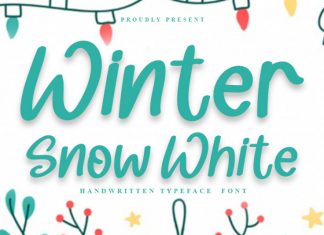 Winter Snow White Display Font