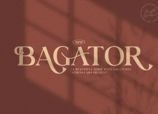 Bagator Serif Font