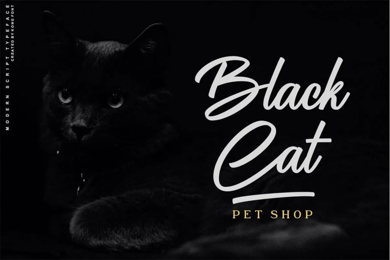 Battle Andy Script Font - Download Free Font