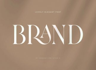 Brand Serif Font
