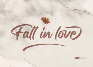 Fall in love Script Font