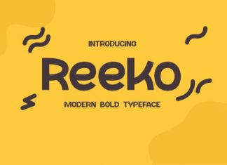 Reeko Sans Serif Font