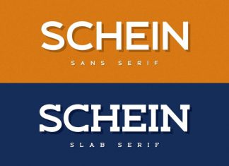 Schein Sans & Slab Font