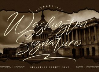 Washington Signature Script Font