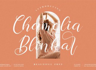 Chamelia Blinkar Calligraphy Font
