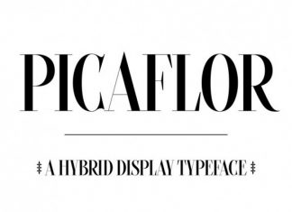 Picaflor Serif Font