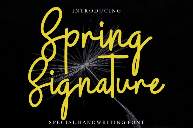 Spring Signature Script Font