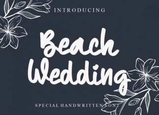 Beach Wedding Font