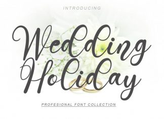 Wedding Holiday Script Font