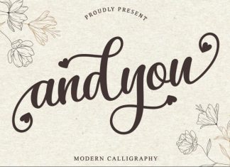 Andyou Calligraphy Font