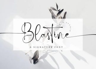 Blastine Script Font