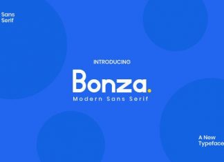 Bonza Sans Serif Font