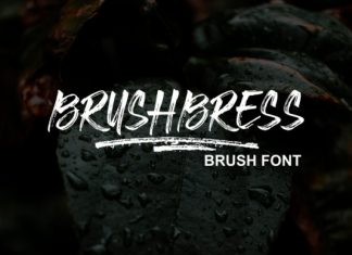 Brushbress Brush Font