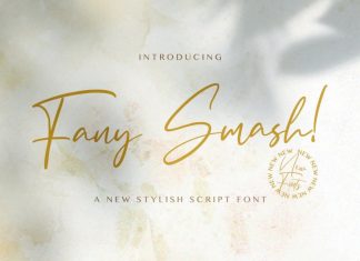 Fany Smash Handwritten Font