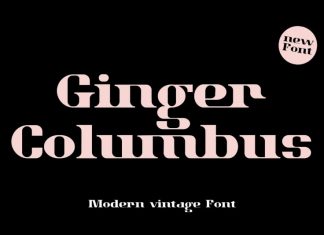 Ginger Columbus Serif Font