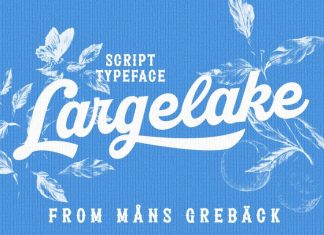 Largelake Bold Script Font