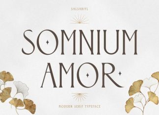 Somnium Amor Serif Font