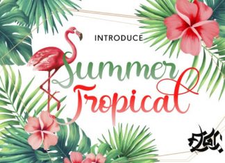 Summer Tropical Calligraphy Font