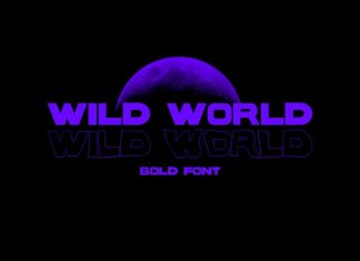 WILD WORLD Display Font