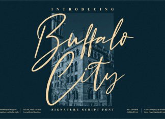 Buffalo City Script Font