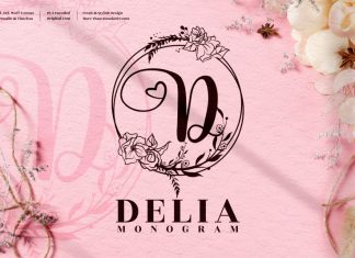 Delia Monogram Display Font