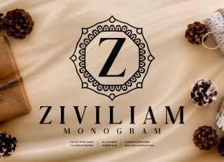 Ziviliam Monogram Display Font