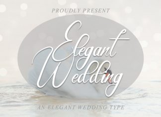 Elegant Wedding Script Font