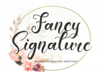 Fancy Signature Script Font