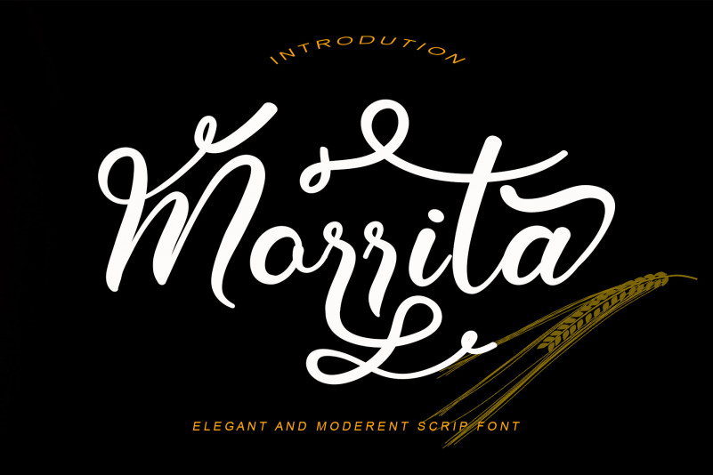 Morrita Script Font