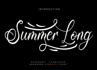 Summer Long Script Font