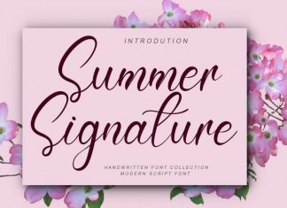 Summer Signature Script Font