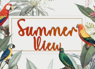 Summer View Script Font