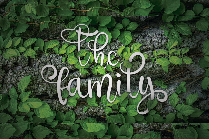 The Family Calligraphy Font