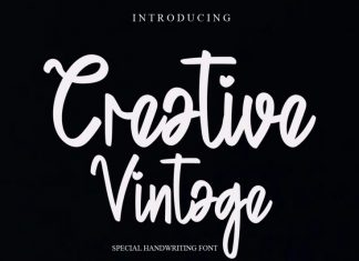 Creative Vintage Script Font