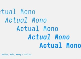 Actual Mono Sans Serif Font