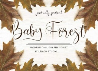 Baby Forest Calligraphy Font