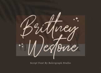 Brittney Westone Handwritten Font