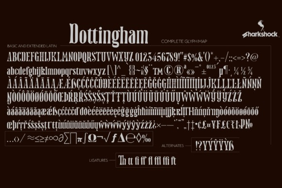 Dottingham Font preview image 2