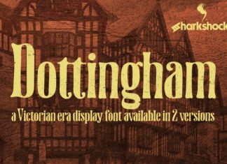 Dottingham Display Font