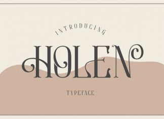 Holen Display Font