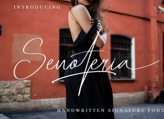 Senoteria Handwritten Font