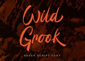 Wild Grook Brush Font