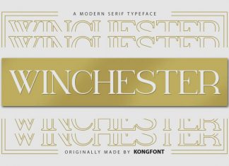 Winchester Serif Font