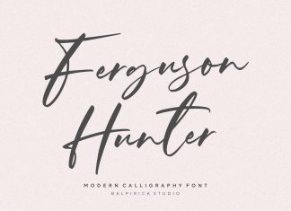 Ferguson Hunter Script Font