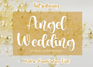 Angel Wedding Script Font