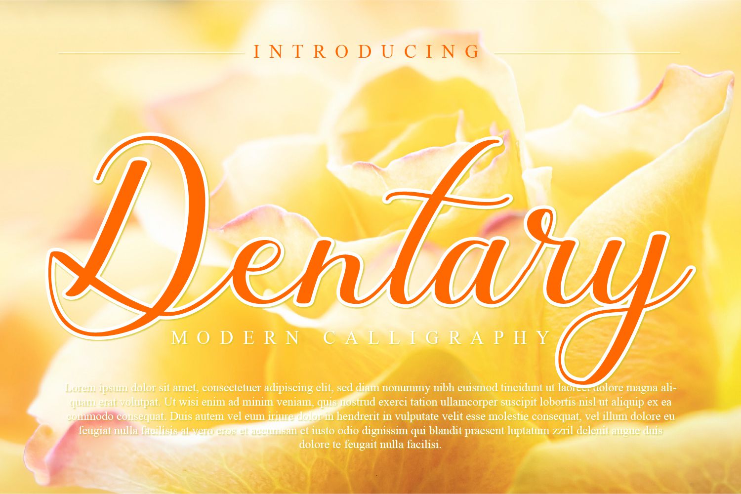 Dentary Calligraphy Font