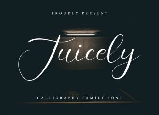 Juicely Calligraphy Font