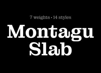 Montagu Slab Serif Font