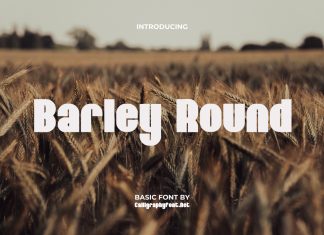 Barley Round Display Font