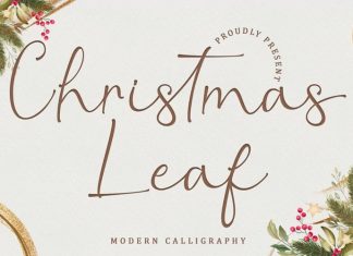 Christmas Leaf Script Font